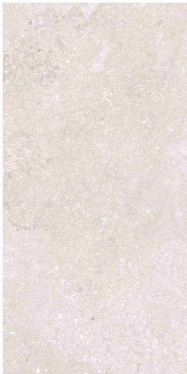 OL Port Land Stone Bianco Matte 12 x 24